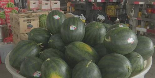 潍坊近期热门吃瓜事件,最新“瓜王”事件揭秘，网友热议不断！