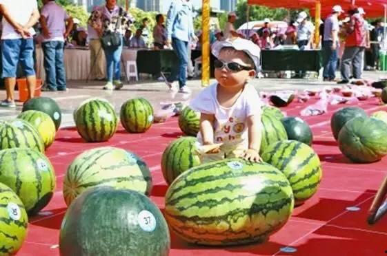 龙泉吃瓜群,揭秘网络社交圈的趣味与争议