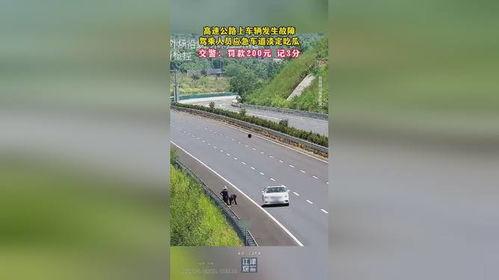 高速路上吃瓜,一场意外的美食之旅