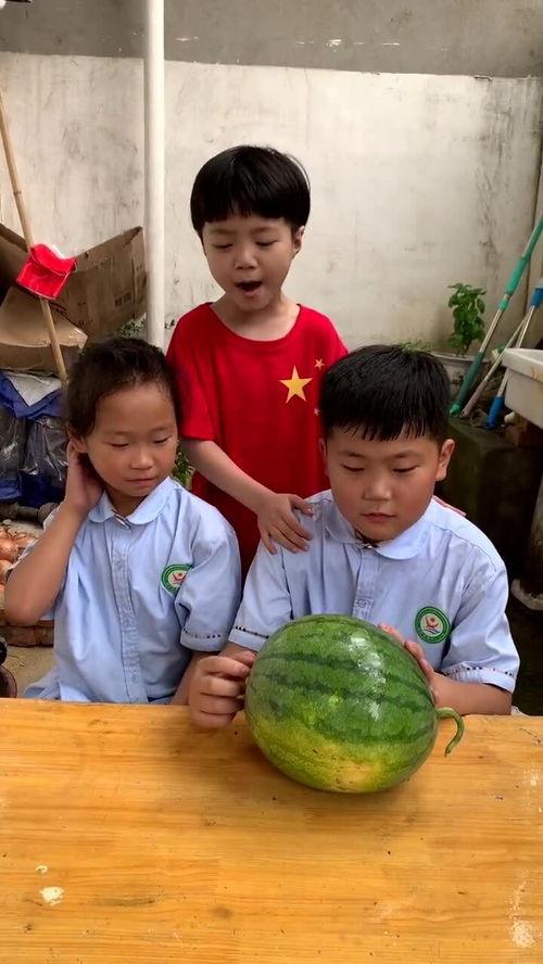 河北姐弟们吃瓜,一场夏日里的欢乐盛宴