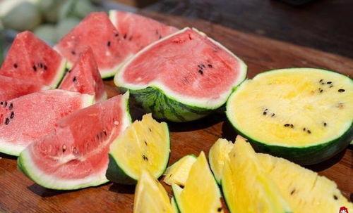 不想重复吃瓜,开启新鲜“瓜”界之旅