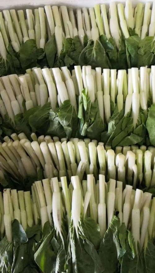 重庆团播吃瓜,揭秘网络热点的麻辣滋味