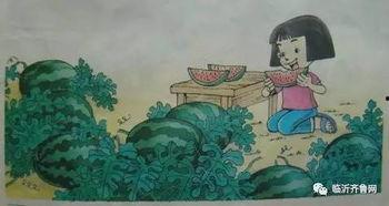 瓜地里的猹吃瓜,一场别开生面的夏日盛宴