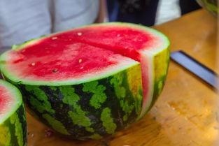 银川能源学校吃瓜,校园吃瓜文化一瞥