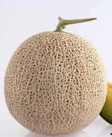 哈密瓜拉肚子可以吃吗,还能安心享用吗？