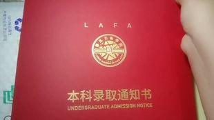 猹和吃瓜少年,猹与吃瓜少年的奇幻冒险之旅