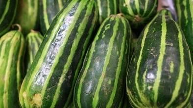 吃瓜冻瓜视频,揭秘吃瓜冻瓜视频的清凉魅力