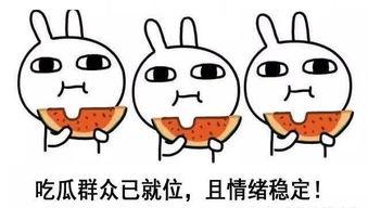 可欺吃瓜人全文,揭秘网络世界的真实与虚假