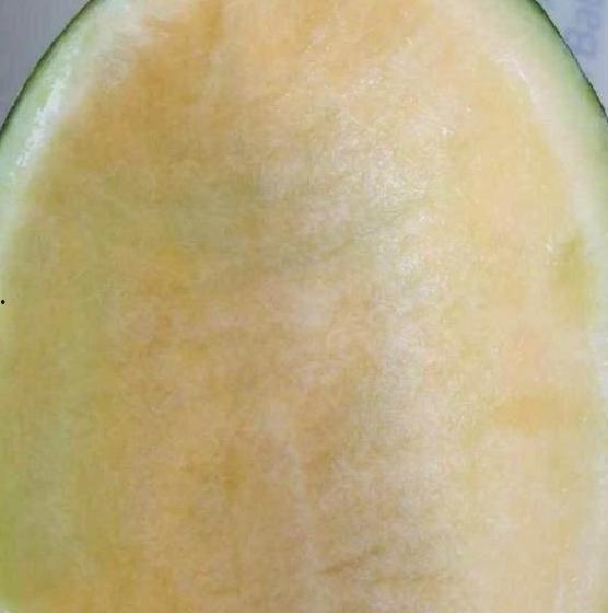 吃瓜型的果冻,甜蜜诱惑背后的秘密