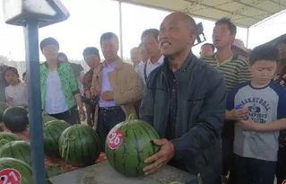 石佛寺吃瓜群众,揭秘民间热点背后的故事