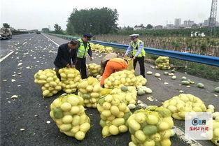 许昌吃大瓜图片,大瓜盛宴，视觉与味蕾的双重享受