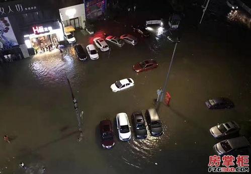 东莞暴雨吃瓜,市民街头“吃瓜”见证大自然力量