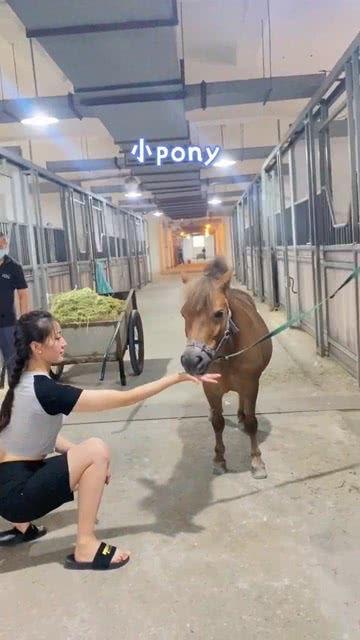 马姑娘吃瓜,马姑娘的瓜田奇遇记