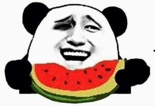 剑门吃瓜群众,揭秘当地百姓的日常生活与趣闻轶事