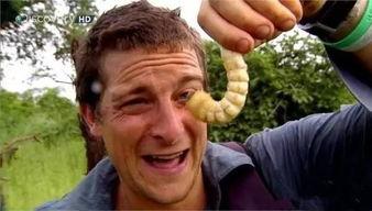 吃瓜群2888216,一场全民参与的娱乐盛宴