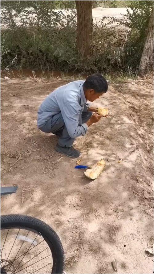 伽师怎么吃瓜视频,揭秘新疆伽师特色吃瓜文化