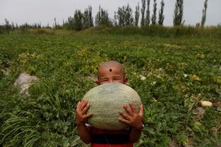 带你吃瓜雷人场景,笑料百出！