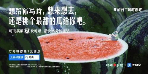 吃瓜文案介绍自己学校,学府风采——揭秘我国知名学府的吃瓜日常”