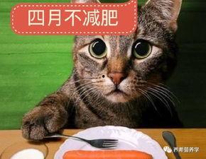猫瓜草胶囊没病可以吃吗,健康养生，没病也能吃？揭秘其神奇功效