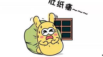 吃瓜群众北北,吃瓜群众的视角解读娱乐圈风云