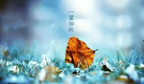 立秋送瓜给老妈吃的说说