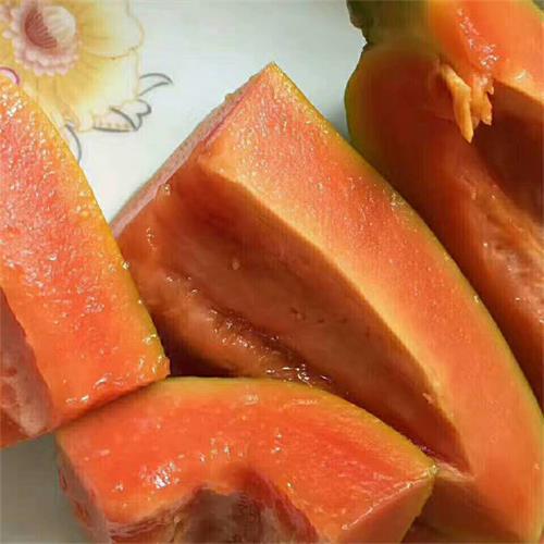 乳瓜可以每天吃吗