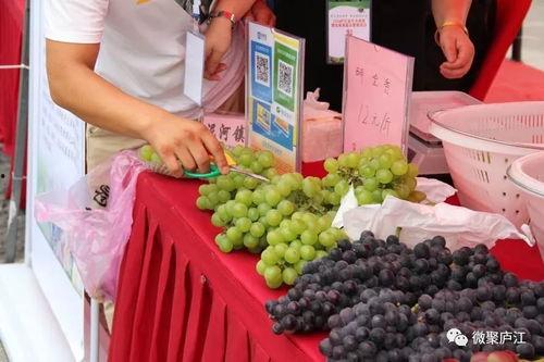 金牛吃瓜,揭秘娱乐圈的幕后故事