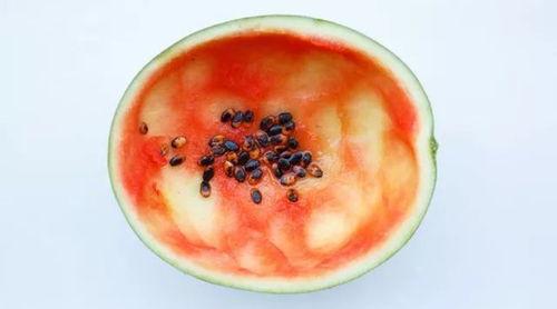 吃瓜勺甜瓜勺子,探秘瓜勺子里的甜蜜生活