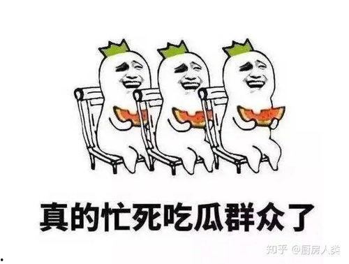 为啥要叫吃瓜,揭秘“吃瓜”一词背后的文化内涵与流行现象