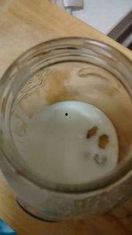 酸奶籽瓜怎么吃,夏日消暑新宠，美味健康两不误