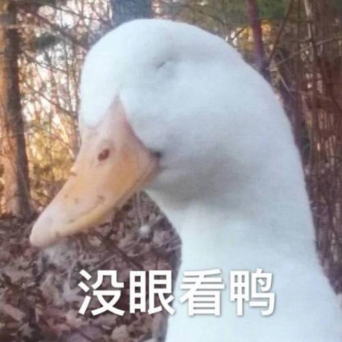 柯尔鸭吃瓜鸭表情包,萌态十足，笑点满满