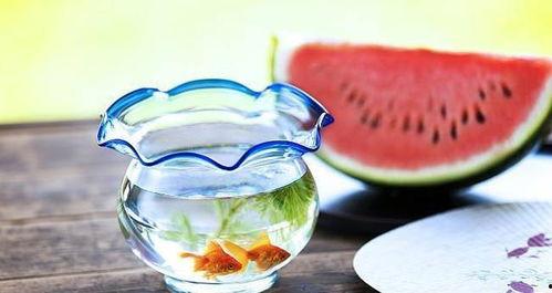 暗圈吃瓜,揭秘娱乐圈背后的秘密与真相