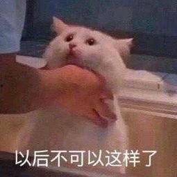 17吃瓜朝阳群众,网络热词背后的故事