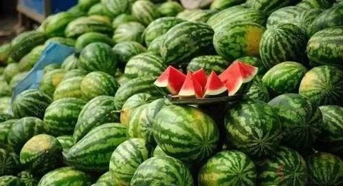 吃瓜看熟,揭秘娱乐圈背后的故事与真相