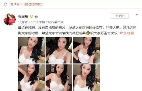 台北吃瓜看介绍,吃瓜看世界，一网打尽美食与风景