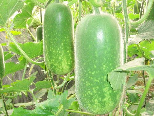 流晞吃瓜,揭秘娱乐圈那些不为人知的幕后故事