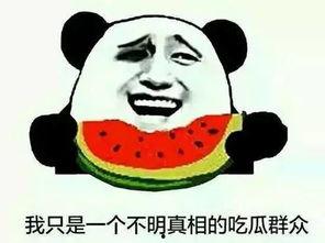 如何看待社会评论吃瓜,理性看待网络舆论现象