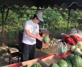 桥洞吃瓜直播,揭秘网络红人的幕后生活 第3张 桥洞吃瓜直播,揭秘网络红人的幕后生活 第3张