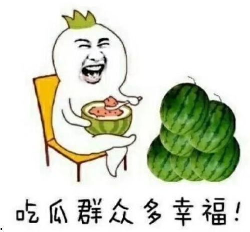 快乐吃瓜人  第2张