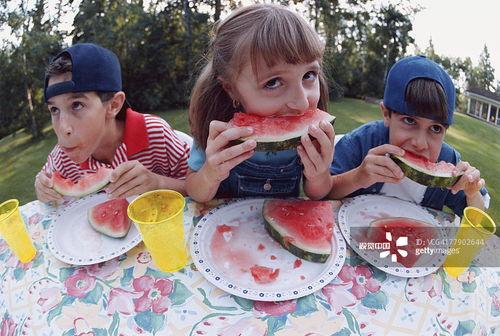 快乐吃瓜人  第3张