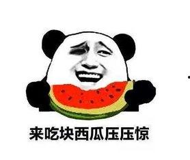 带你吃瓜奇葩吗,带你领略“带你吃瓜”的奇特魅力  第3张