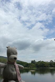 吃瓜小熊露脸视频