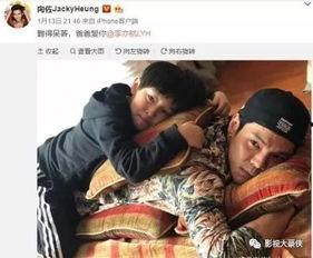 吃瓜九子太子,揭秘宫廷秘闻，探寻皇家恩怨  第2张