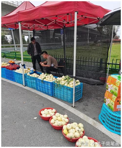 温州吃瓜  第2张