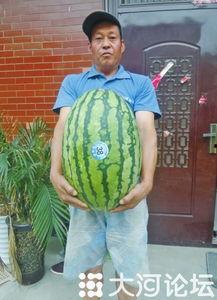 黑51吃瓜,揭秘娱乐圈背后的惊人真相  第2张