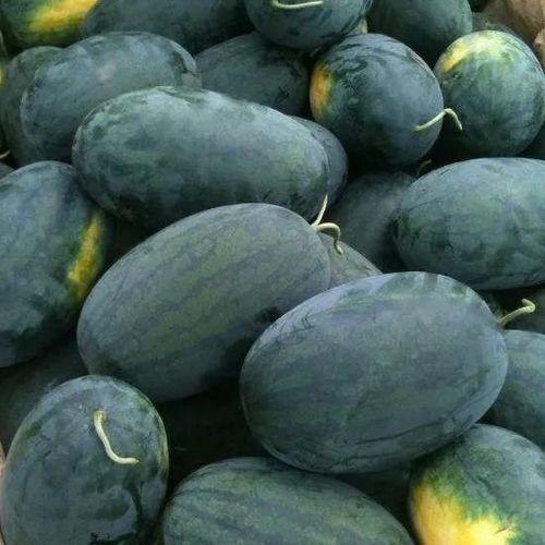 蜜宝王瓜 怎么吃,解锁美味新体验