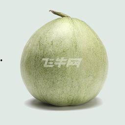 蜜宝王瓜 怎么吃,解锁美味新体验 第2张 蜜宝王瓜 怎么吃,解锁美味新体验 第2张