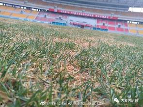 泉州操场吃瓜事件  第3张