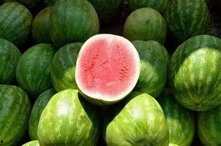 吃瓜同学圈,校园八卦风云录