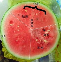 吃瓜同学圈,校园八卦风云录  第2张